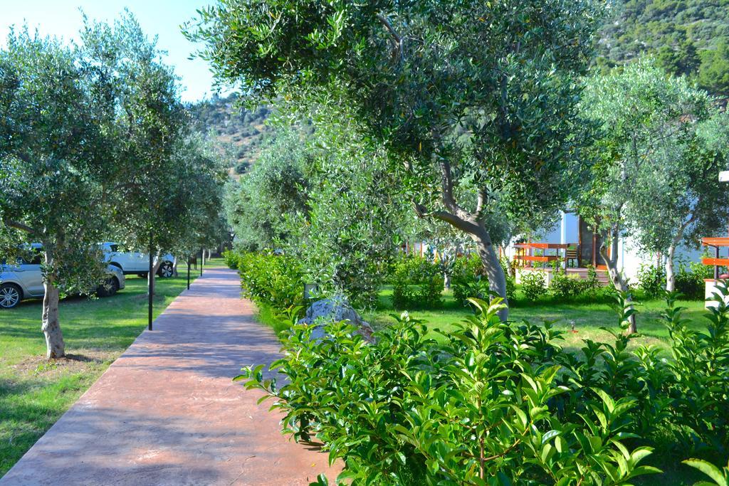 Agriturismo Antichi Ulivi Villa Матината Екстериор снимка